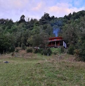 Refugio Huellas De Puelo, Casa De Campo Con Bosque Villa Las Gualas Exterior photo