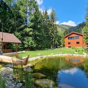 Villa Drosera S Wellnessom, Rackova Dolina V Zapadnych Tatrach Pribylina Exterior photo