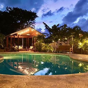 Dreamspace Cottage, Private Pool, Private Garden, Prius Car Nassau Exterior photo