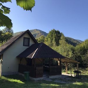 Roua - Apuseni Mountains Villa Pietroasa  Exterior photo