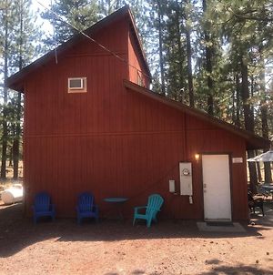 Cheerful 2-Bedroom Cottage Near Eagle Lake Susanville Exterior photo