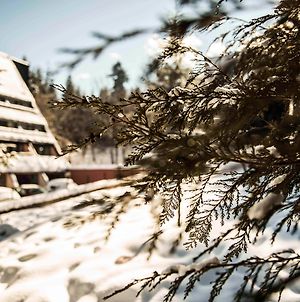 Moura Boutique Hotel By Asteri Hotels Borovets Exterior photo