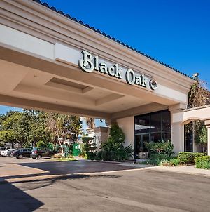 Best Western Plus Black Oak Hotel Paso Robles Exterior photo