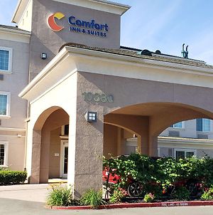 Comfort Inn & Suites Galt - Lodi North Exterior photo