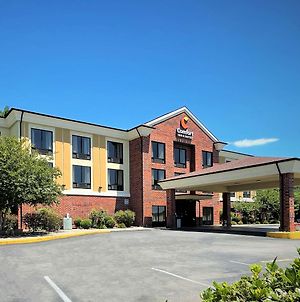 Comfort Inn & Suites Rogersville Exterior photo
