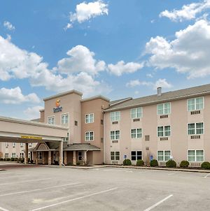 Comfort Inn & Suites Northern Kentucky Wilder Exterior photo