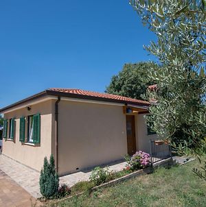 Holiday House With A Parking Space Kastel, Central Istria - Sredisnja Istra - 14572 Buje Exterior photo