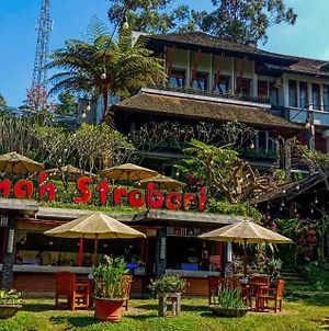 Rumah Stroberi Organic Farm & Family Lodge Lembang Exterior photo