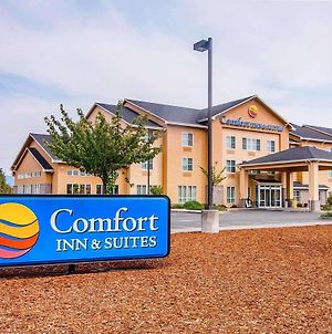 Comfort Inn & Suites Creswell Exterior photo