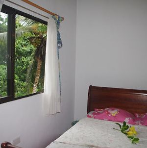 Papaya Guesthouse Mahe Island Room photo
