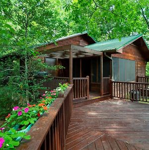 Highland Forest Cabins Duo Cabin Retreat Villa Pigeon Forge Exterior photo