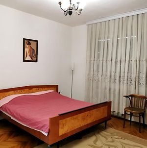 Central Apartment- Offers Free Parking And Wi-Fi Skopje Exterior photo