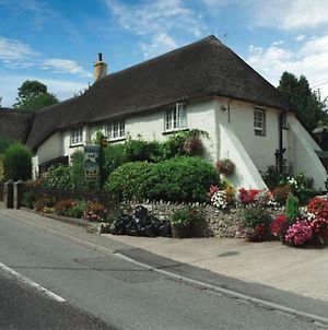 Holiday Cottage In Devon Near Beaches And National Parks Honiton Exterior photo