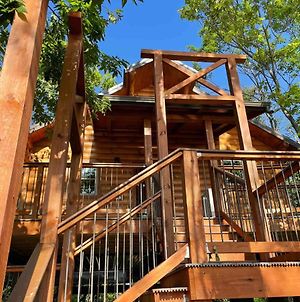 Cricket Hill Treehouse By Amish Country Lodging Villa Millersburg Exterior photo