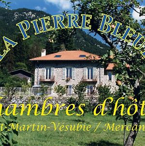 La Pierre Bleue / Chambres D'Hotes Saint-Martin-Vesubie Exterior photo