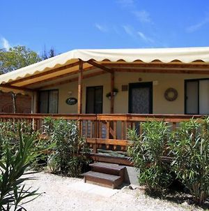 Mobile Home Comfort Viareggio - Camping Paradiso- R007 Exterior photo