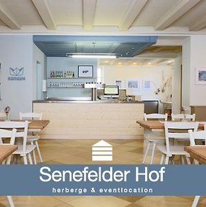 Senefelder Hof Hotel Solnhofen Exterior photo