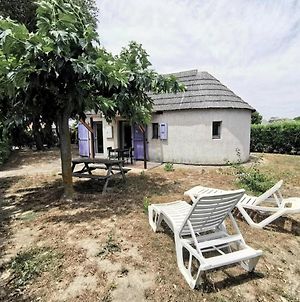 Residence Ile Des Pecheurs - Maisons & Villas Pour 6 Personnes 354 Leucate Exterior photo