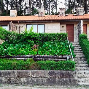 Casa Nogueira - Minho'S Guest Villa Pousadouros  Exterior photo