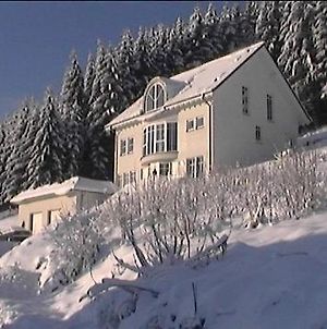 Ferienwohnung Haus Waldesruh Olsberg Exterior photo