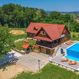 Beautiful Home In Bedenica With Wifi, Private Swimming Pool And Outdoor Swimming Pool Exterior photo