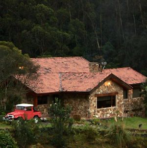Casa En El Bosque De Mazan Disfruta La Naturaleza Villa Cuenca Exterior photo