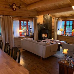 Havretunet Pa Havrefjell-Cozy Cabin With Jacuzzi Villa Amli Exterior photo