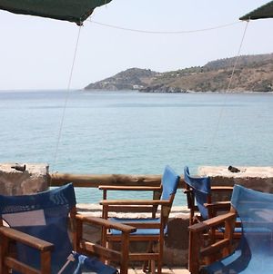 Aegina Beachfront Suites - Argo Seaside Stays Agia Marina  Exterior photo