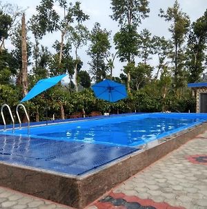 Giridarshini Homestay - Pool, Falls, Home Food & Estate Chikmagalur Exterior photo