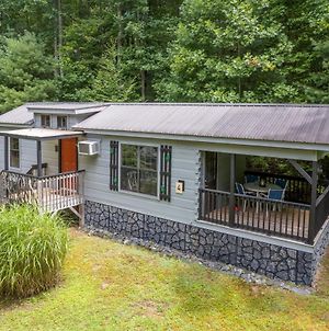 The Gray Cabin At Mccrary'S Cabins Villa Hendersonville Exterior photo