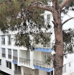 Mango Suite Hotel Antalya Exterior photo