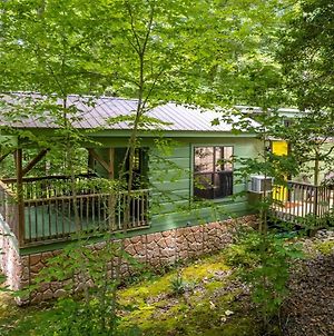 The Green Cabin At Mccrary'S Cabins Villa Hendersonville Exterior photo