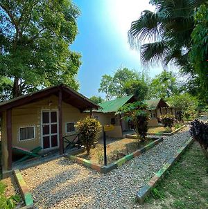 Nature Safari Camp Hotel Chitwan Exterior photo