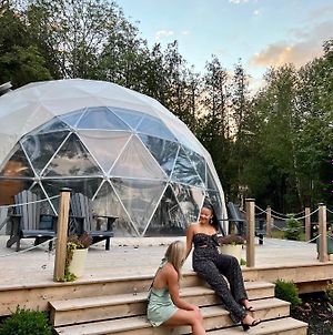 Geodome Water View Stay On Grand Manan Island Castalia Exterior photo
