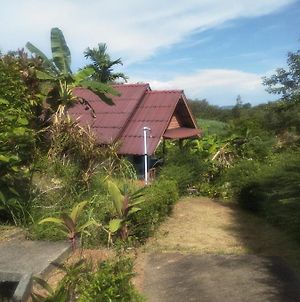 Rimlay Hill Top Bed & Breakfast Phang Nga Exterior photo