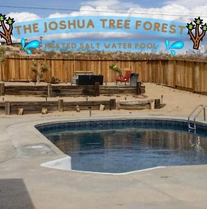 The Joshua Tree Forest - Heated Saltwater Pool! Twentynine Palms Exterior photo