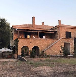 Olive Cottage Kyparissia Exterior photo