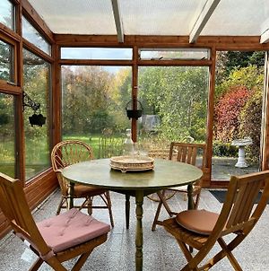 House With A Magical Garden And Sunroom Hofn Exterior photo
