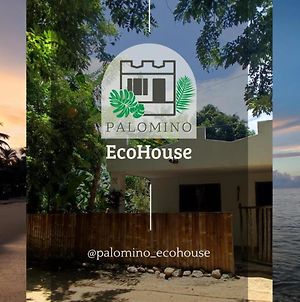 Palomino Ecohouse Villa Exterior photo
