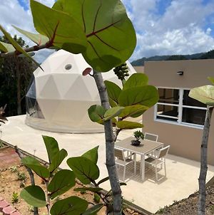 Landome @ La Pena 'E Junior, Naranjito, Puerto Rico Villa Exterior photo