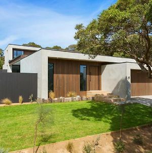 Coastal Retreat Feeling That Puts You At Ease From The Moment You Pull Up In The Drive Villa Whale Beach Exterior photo