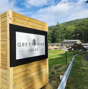 Grey Pine Lodge Waynesboro Exterior photo