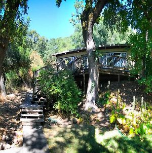 The Oak Haven - A Relaxing Sanctuary W/Spa! Glen Ellen Exterior photo