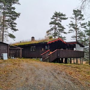 Amazing Home In Hornnes With Wifi And 3 Bedrooms Exterior photo