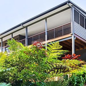 Forest Haven 2 Bedroom Styled Modern Sanctuary At Maleny Exterior photo