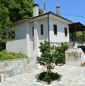 Villa Consta Tsagarada Exterior photo