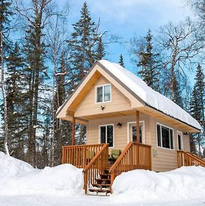 Talkeetna Tiny House Cabin *Sauna* Near Ski/Lake Exterior photo