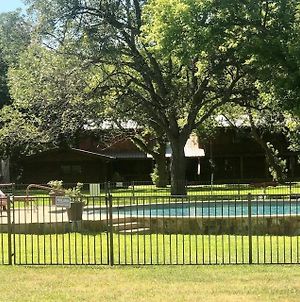 Millrace Lodge 5-Star Rated! 4 Bedrooms! Solar-Heated Pool! Sleeps 8! Walk To Town! Wimberley Exterior photo