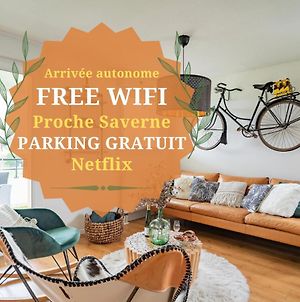 Le Vintage - Wifi - Parking Gratuit - Netflix Apartment Monswiller Exterior photo