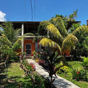 Otorongo Guest House Iquitos Exterior photo